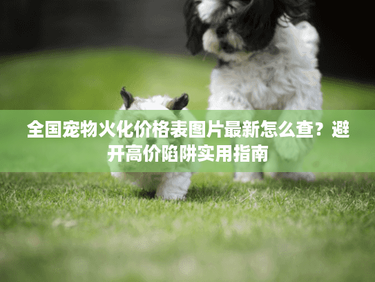 全国宠物火化价格表图片最新怎么查?避开高价陷阱实用指南 全国宠物火化价格表图片最新怎么查?避开高价陷阱实用指南