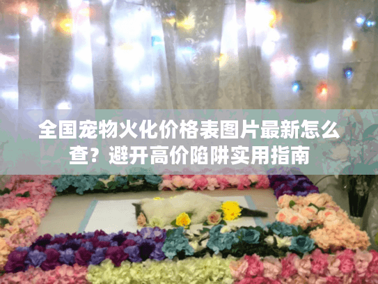 全国宠物火化价格表图片最新怎么查?避开高价陷阱实用指南 全国宠物火化价格表图片最新怎么查?避开高价陷阱实用指南