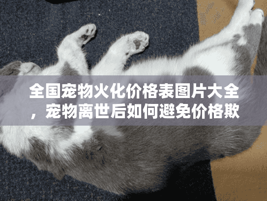 全国宠物火化价格表图片大全，宠物离世后如何避免价格欺诈陷阱？