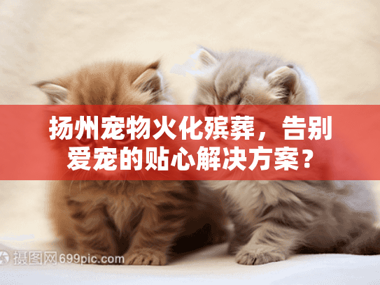 扬州宠物火化殡葬，告别爱宠的贴心解决方案？
