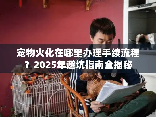 宠物火化在哪里办理手续流程？2025年避坑指南全揭秘