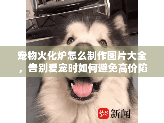 宠物火化炉怎么制作图片大全，告别爱宠时如何避免高价陷阱？