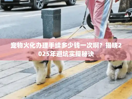 宠物火化办理手续多少钱一次啊?揭晓2025年避坑实操秘诀 宠物火化办理手续多少钱一次啊?揭晓2025年避坑实操秘诀