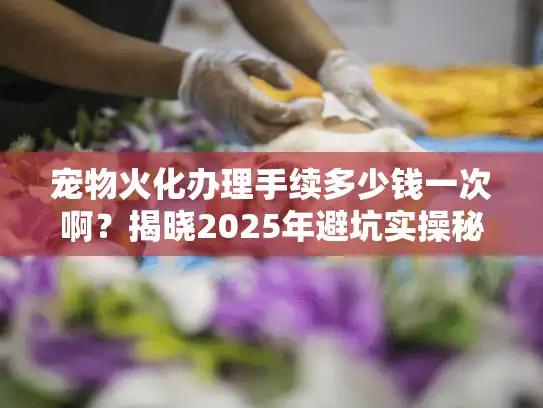 宠物火化办理手续多少钱一次啊?揭晓2025年避坑实操秘诀 宠物火化办理手续多少钱一次啊?揭晓2025年避坑实操秘诀