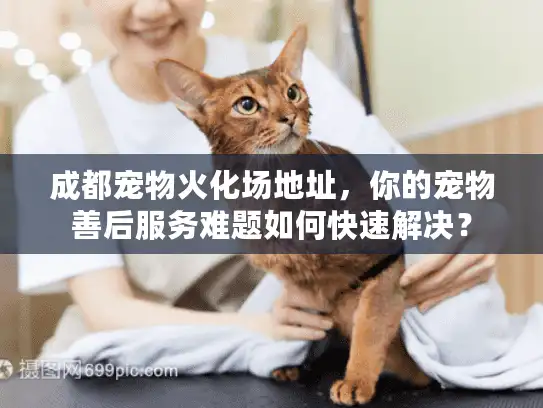 成都宠物火化场地址,你的宠物善后服务难题如何快速解决? 成都宠物火化场地址,你的宠物善后服务难题如何快速解决?