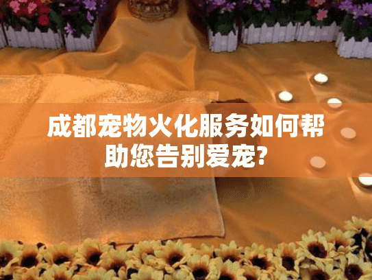 成都宠物火化服务如何帮助您告别爱宠?