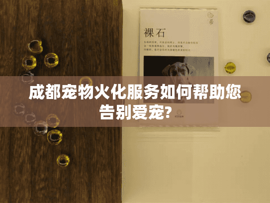 成都宠物火化服务如何帮助您告别爱宠?