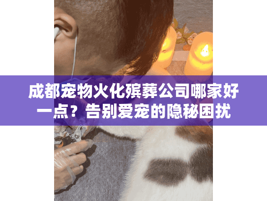 成都宠物火化殡葬公司哪家好一点？告别爱宠的隐秘困扰