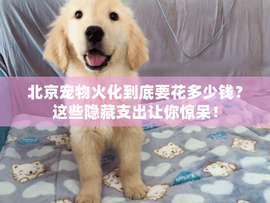北京宠物火化到底要花多少钱?这些隐藏支出让你惊呆! 北京宠物火化到底要花多少钱?这些隐藏支出让你惊呆!