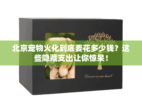 北京宠物火化到底要花多少钱?这些隐藏支出让你惊呆! 北京宠物火化到底要花多少钱?这些隐藏支出让你惊呆!