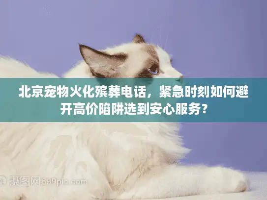 北京宠物火化殡葬电话，紧急时刻如何避开高价陷阱选到安心服务？