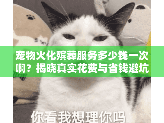 宠物火化殡葬服务多少钱一次啊？揭晓真实花费与省钱避坑妙招