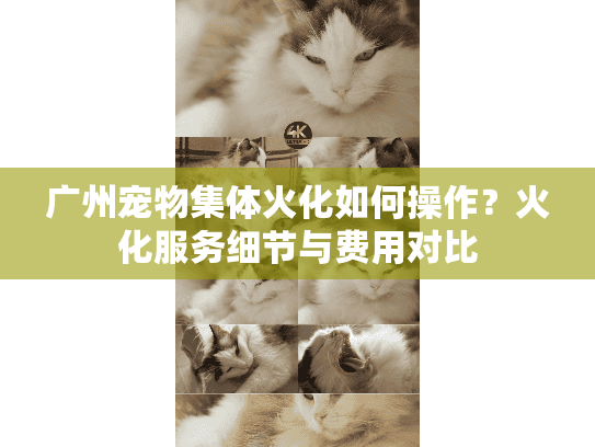广州宠物集体火化如何操作?火化服务细节与费用对比 广州宠物集体火化如何操作?火化服务细节与费用对比