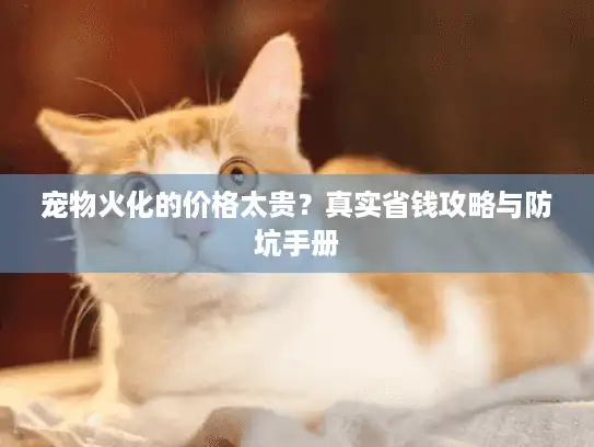 宠物火化的价格太贵？真实省钱攻略与防坑手册