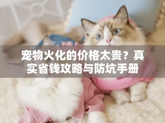 宠物火化的价格太贵？真实省钱攻略与防坑手册