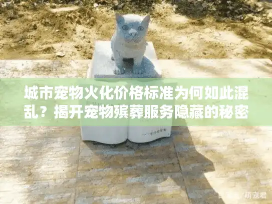 城市宠物火化价格标准为何如此混乱?揭开宠物殡葬服务隐藏的秘密 城市宠物火化价格标准为何如此混乱?揭开宠物殡葬服务隐藏的秘密