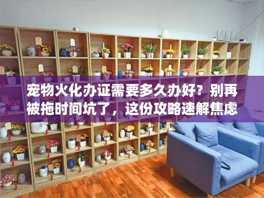 宠物火化办证需要多久办好？别再被拖时间坑了，这份攻略速解焦虑！