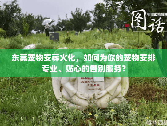 东莞宠物安葬火化，如何为你的宠物安排专业、贴心的告别服务？