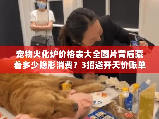 宠物火化炉价格表大全图片背后藏着多少隐形消费?3招避开天价账单 宠物火化炉价格表大全图片背后藏着多少隐形消费?3招避开天价账单