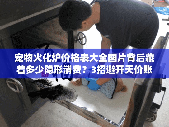 宠物火化炉价格表大全图片背后藏着多少隐形消费?3招避开天价账单 宠物火化炉价格表大全图片背后藏着多少隐形消费?3招避开天价账单