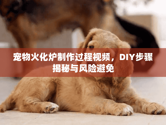 宠物火化炉制作过程视频,DIY步骤揭秘与风险避免 宠物火化炉制作过程视频,DIY步骤揭秘与风险避免