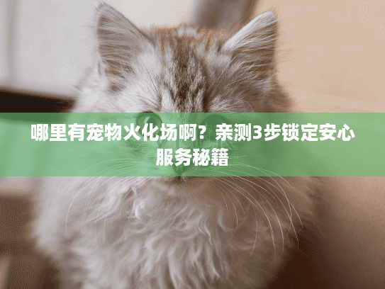 哪里有宠物火化场啊？亲测3步锁定安心服务秘籍