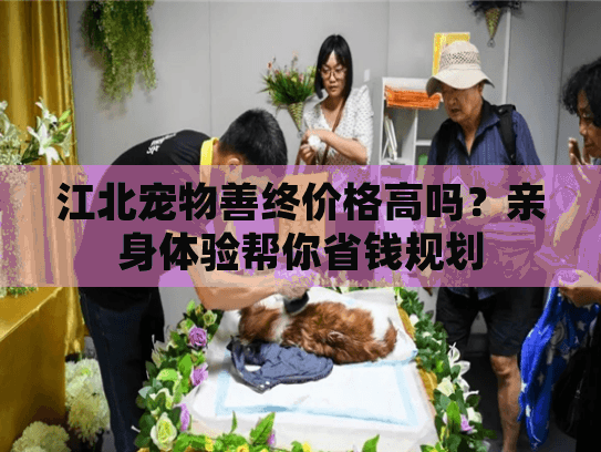 江北宠物善终价格高吗?亲身体验帮你省钱规划 江北宠物善终价格高吗?亲身体验帮你省钱规划