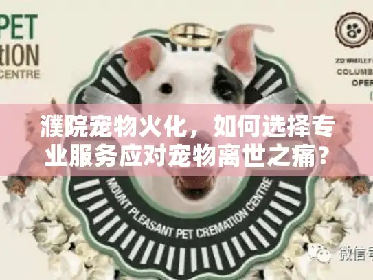 濮院宠物火化,如何选择专业服务应对宠物离世之痛? 濮院宠物火化,如何选择专业服务应对宠物离世之痛?