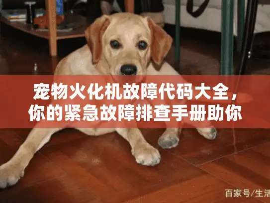宠物火化机故障代码大全，你的紧急故障排查手册助你安心选择服务