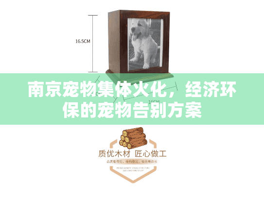 南京宠物集体火化，经济环保的宠物告别方案