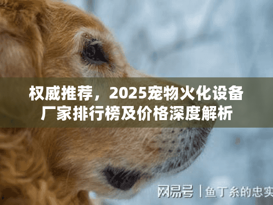 权威推荐,2025宠物火化设备厂家排行榜及价格深度解析 权威推荐,2025宠物火化设备厂家排行榜及价格深度解析