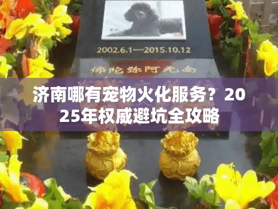 济南哪有宠物火化服务？2025年权威避坑全攻略
