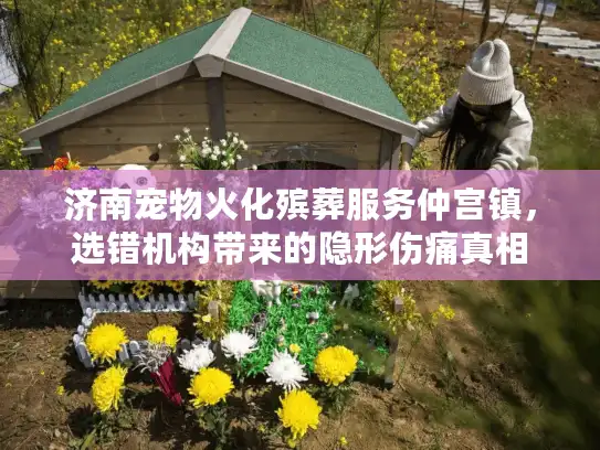 济南宠物火化殡葬服务仲宫镇，选错机构带来的隐形伤痛真相