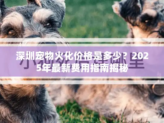深圳宠物火化价格是多少?2025年最新费用指南揭秘 深圳宠物火化价格是多少?2025年最新费用指南揭秘
