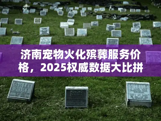 济南宠物火化殡葬服务价格，2025权威数据大比拼