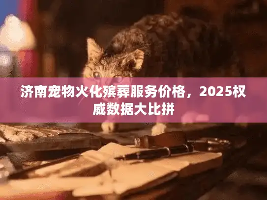 济南宠物火化殡葬服务价格，2025权威数据大比拼
