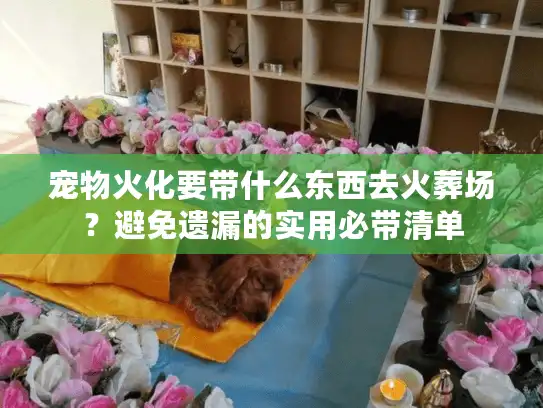 宠物火化要带什么东西去火葬场？避免遗漏的实用必带清单