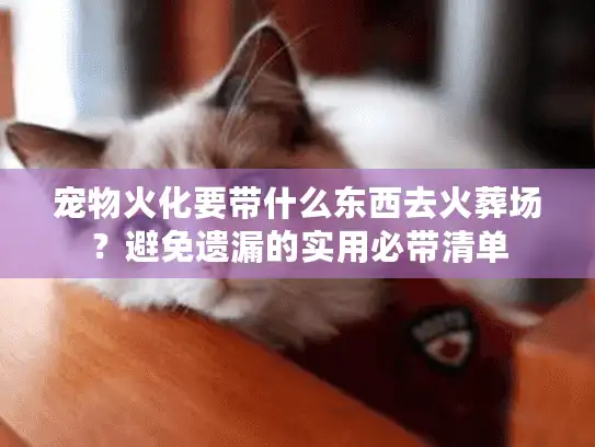 宠物火化要带什么东西去火葬场？避免遗漏的实用必带清单