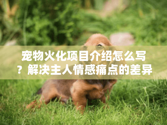 宠物火化项目介绍怎么写?解决主人情感痛点的差异化指南 宠物火化项目介绍怎么写?解决主人情感痛点的差异化指南