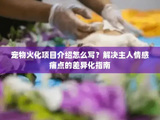 宠物火化项目介绍怎么写?解决主人情感痛点的差异化指南 宠物火化项目介绍怎么写?解决主人情感痛点的差异化指南