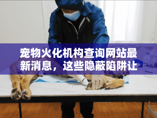 宠物火化机构查询网站最新消息,这些隐蔽陷阱让90%主人后悔 宠物火化机构查询网站最新消息,这些隐蔽陷阱让90%主人后悔