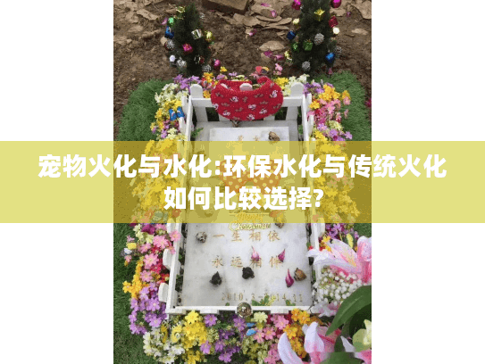 宠物火化与水化:环保水化与传统火化如何比较选择?