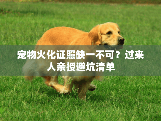 宠物火化证照缺一不可？过来人亲授避坑清单