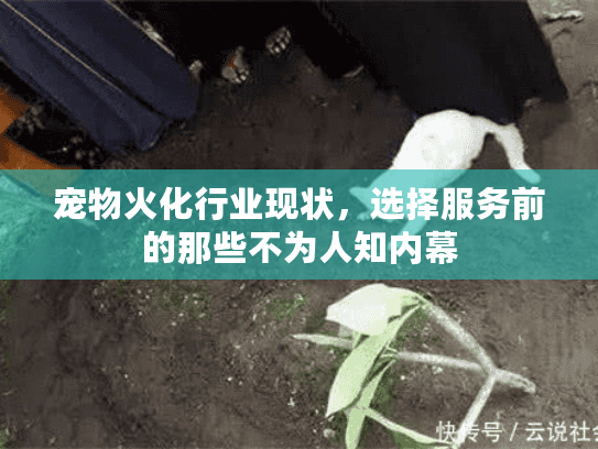 宠物火化行业现状,选择服务前的那些不为人知内幕 宠物火化行业现状,选择服务前的那些不为人知内幕