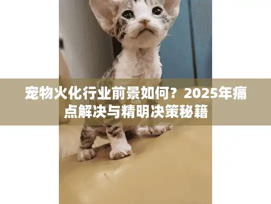 宠物火化行业前景如何?2025年痛点解决与精明决策秘籍 宠物火化行业前景如何?2025年痛点解决与精明决策秘籍