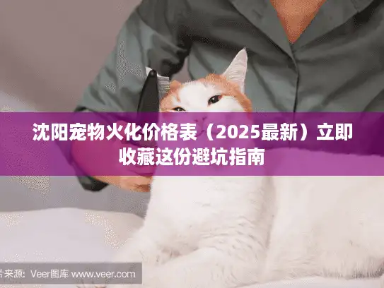 沈阳宠物火化价格表（2025最新）立即收藏这份避坑指南