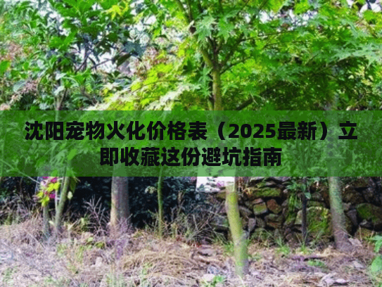 沈阳宠物火化价格表（2025最新）立即收藏这份避坑指南