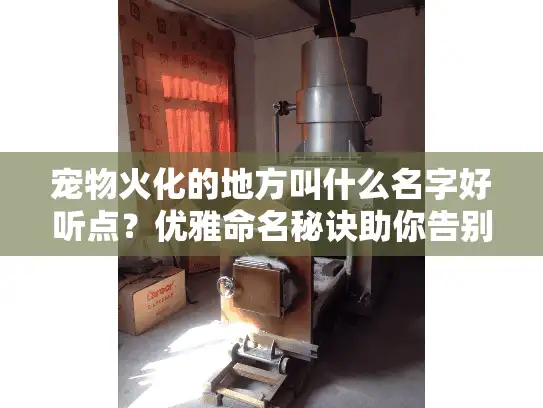 宠物火化的地方叫什么名字好听点？优雅命名秘诀助你告别爱宠