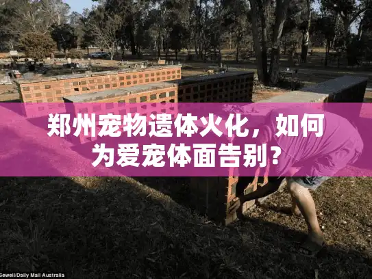 郑州宠物遗体火化，如何为爱宠体面告别？