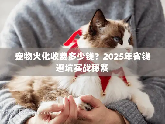 宠物火化收费多少钱?2025年省钱避坑实战秘笈 宠物火化收费多少钱?2025年省钱避坑实战秘笈